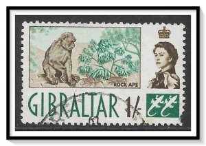 Gibraltar #156 QE II & Barbary Ape Used