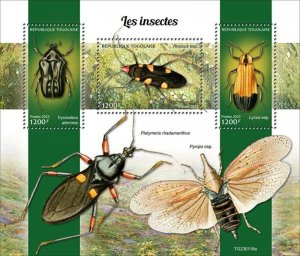 Togo - 2023 Insects, Trymodera Aterrima - 3 Stamp Sheet - TG230118a