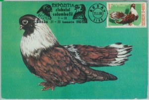 81320 - ROMANIA - Postal History - MAXIMUM CARD - 1983  Birds - Special postmark