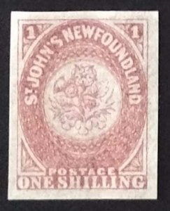 Newfoundland 23 VF MNH