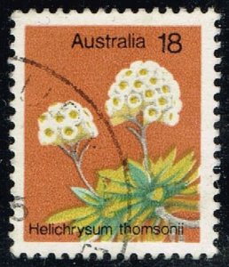 Australia #564 Helichrysum Thomsonii; Used (0.25) (4Stars)