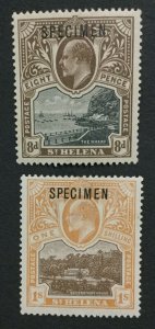 MOMEN: ST HELENA SG #58s/59s 1903 SPECIMEN MINT OG H LOT #191501-617