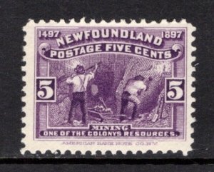 Newfoundland 65 F-VF MNH