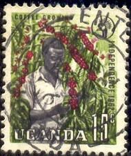 Coffee Growing, Uganda stamp SC#85 used