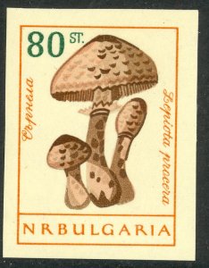 BULGARIA 1961 80s MUSHROOM IMPERF Sc 1188 Footnote MH