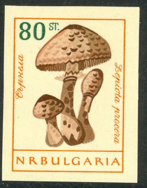 BULGARIA 1961 80s MUSHROOM IMPERF Sc 1188 Footnote MH