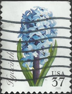 # 3900 USED HYACINTH