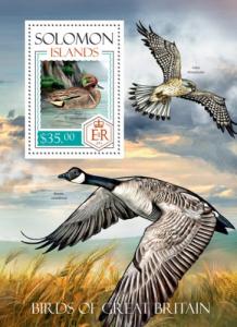 SOLOMON ISLANDS 2014 SHEET BIRDS OF GREAT BRITAIN slm14210b