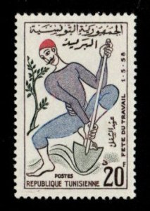 Tunisia #322 MLH