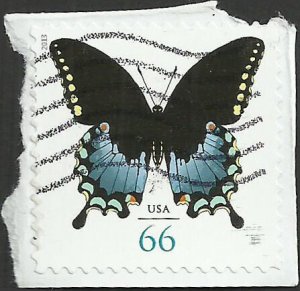 # 4736 USED SPICEBUSH SWALLOWTAIL