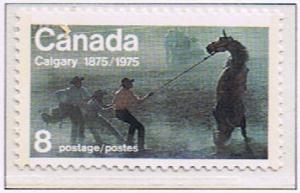 Canada Mint VF-NH #667 Calgary Centennial