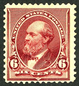 U.S. #224 MINT NG