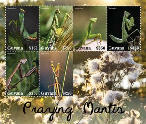 2021/09 - GUYANA - PRAYING MANTIS        6V  complet set    MNH ** TT