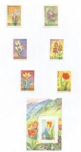 UZBEKISTAN - 1993 - Flowers - Perf  6v Set & Souv Sheet - M L H