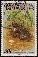 Solomon Islands SG#398A Used - 1979 30c.  - Frogs