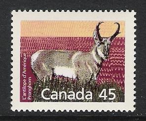 Canada #1172 Pronghorn 45