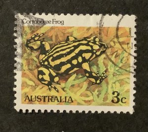 Australia 1981/83  Scott 785 used - 3c, Corroboree Frog