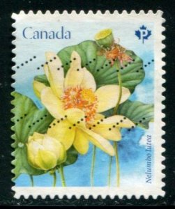 3091 Canada P Lotus Flowers SA, used