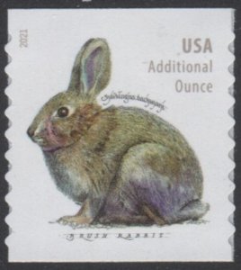 USA Sc. 5545 (20c) Brush Rabbit 2021 coil single MNH