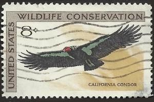 # 1430 USED CALIFORNIA CONDOR