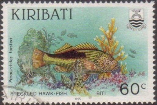 Kiribati 1990 SG336 60c Fish Freckled Hawk-fish FU