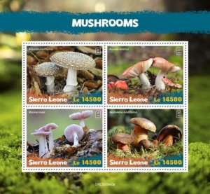 Sierra Leone - 2020 Mushrooms, Bolete - 4 Stamp Sheet - SRL200640a