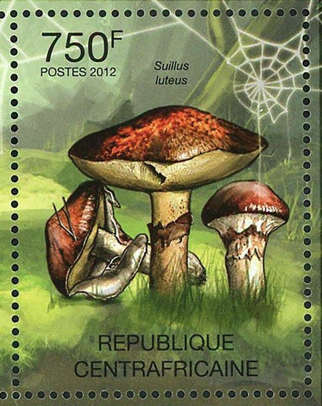 Mushrooms Stamp Boletus Erythropus Suillus Grevillei Calopus S/S MNH #3612-3615 