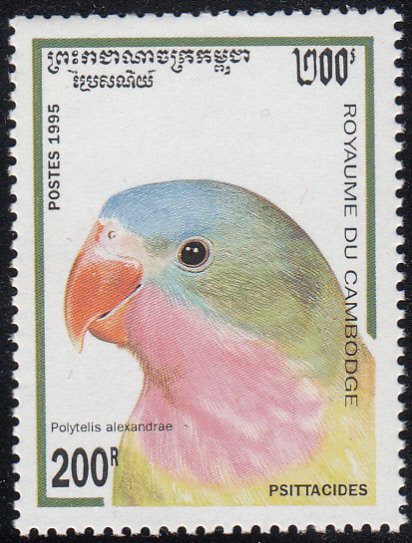 Cambodia 1995 MNH Sc #1438 200r Polytelis alexandrae