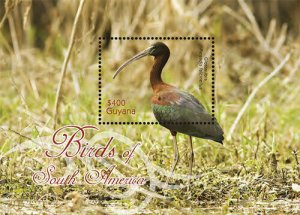 Guyana - 2012 - Birds Of South America  - Souvenir Sheet - MNH