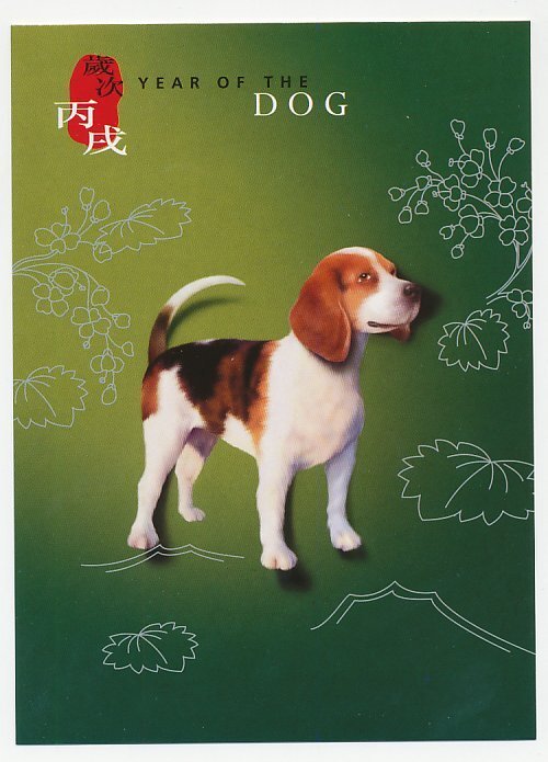 Postal stationery Hong Kong 2006 Dog - Year of the Dog