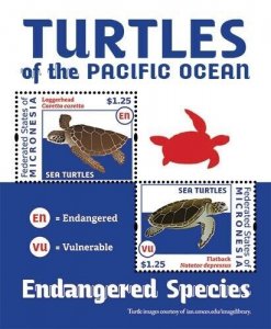 Micronesia 2012 - Turtles Marine Life - Souvenir Stamp Sheet - Scott #981 - MNH