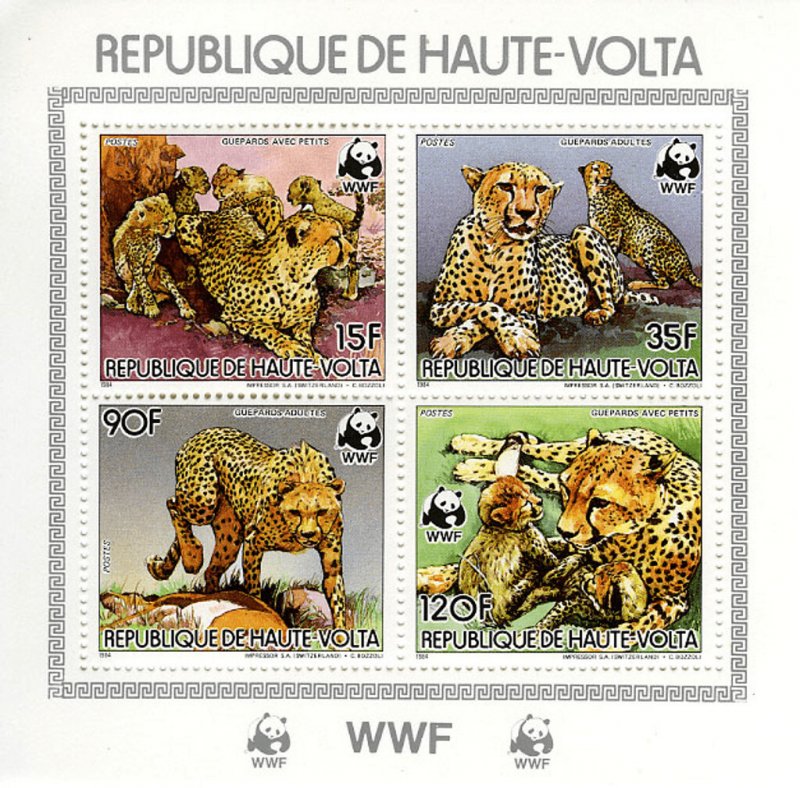 Alto Volta, Animales / Guepardo - Imperfecto - Bloque Colectivo