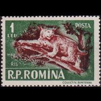 ROMANIA 1956 - Scott# 1088 Lynx 1l NH