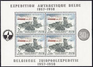 Belgium - 1957 - Scott #B605a - MNH SS Antarctic Expedition