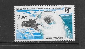 BIRDS - FRENCH SOUTHERN ANTARCTIC TERRITORIES #115  MNH