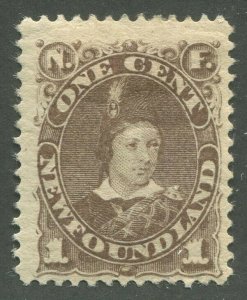 NEWFOUNDLAND #43 MINT