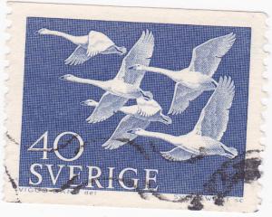 Sweden -1956 Northern Countries Day 40ore used- SG 377