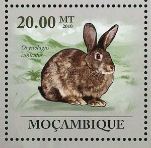 Rabbits Stamp Oryctolagus Cuniculus Lepus Capensis S/S MNH #3548-3553