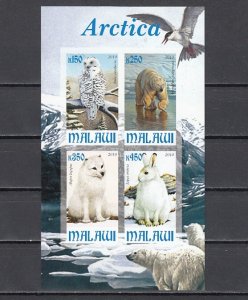 Malawi, 2010 Cinderella issue. Antarctica Fauna, Owl. IMPERF sheet of 4. ^