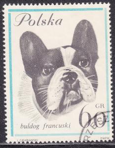 Poland 1119 Dogs, French Bulldog 60Gr 1963