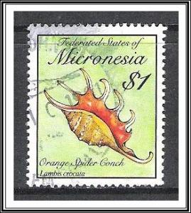 Micronesia #100 Seashells Used