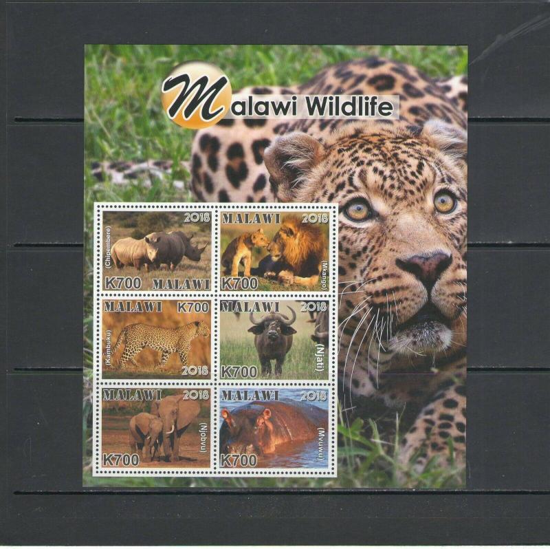 MALAWI: ++NEW ISSUE++ /**Beautiful WILDLIFE**/ Sheet of 6 & 6 SS / MNH3 Images.