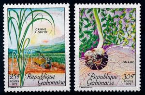 [66531] Gabon 1979 Flora Plants Sugar Yam  MNH