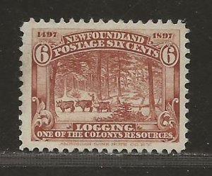NEWFOUNDLAND  SC# 66   VF/MNG