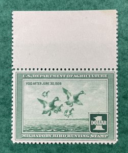 RW4 US Federal Duck Stamp 1937-1938 GREATER SCAUP $1 MNH