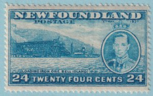 NEWFOUNDLAND 241  MINT NEVER HINGED OG ** PERF 13.7 - NO FAULTS VERY FINE! - LQE