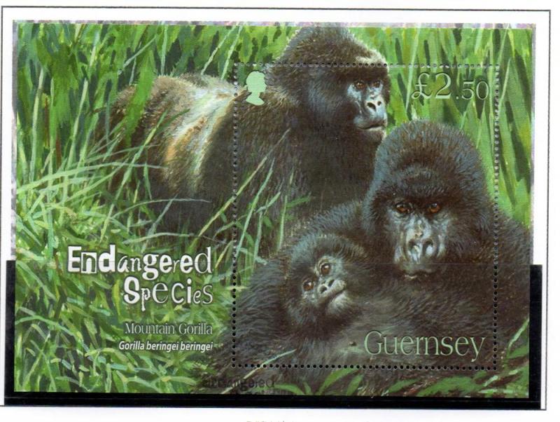 Guernsey Sc 952 2007 Mountain Gorilla stamp sheet used