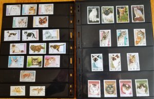 Topical cat collection, 100 plus issues