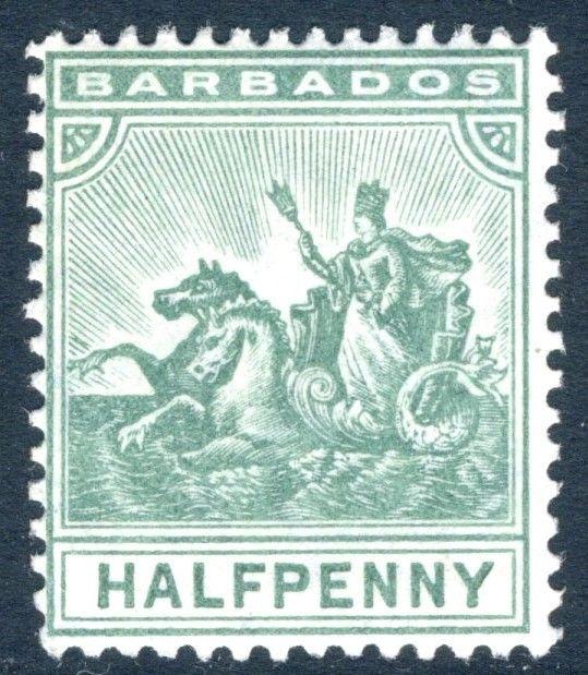 BARBADOS-1905 ½d Green  Sg 136 LIGHTLY MOUNTED MINT V16761