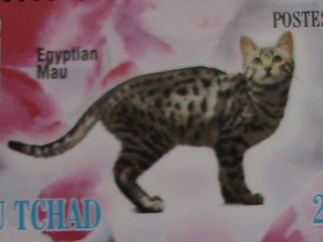 CHAD STAMP 2012  COLORFUL BEAUTIFUL LOVELY CATS-MNH MINI SHEET #2 VERY FINE